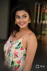 Anisha Ambrose At Fashion Designer Movie Success Meet